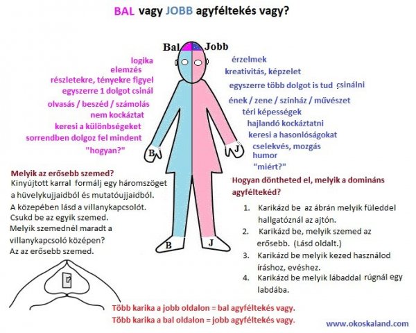 Jobb vagy bal agyféltekés vagy?
