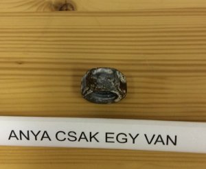 Anya csak egy van