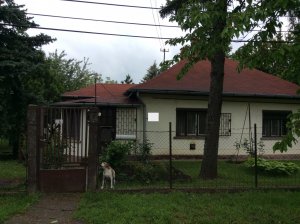 Bicajos, precíz bácsi és anyukájának háza