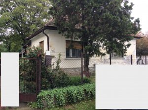 A lakatlan - egy kedvencnek való...