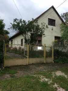 Nagy reménység - káosz a köbön